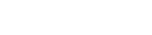 Logo AchievementFirst white 2