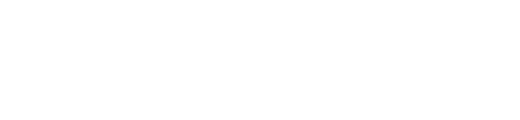 Logo NewVisions white 2