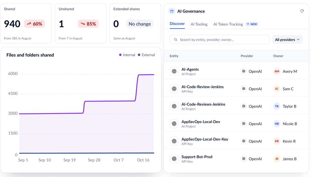 AI governance metrics dashboard featuring shared file counts, a line graph tracking shared files and folders, and a project list displaying associated providers and owners.