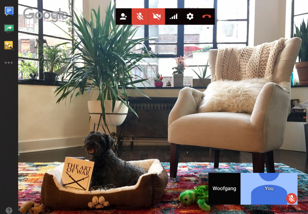 Google hangout pup cam screenshot final JPG